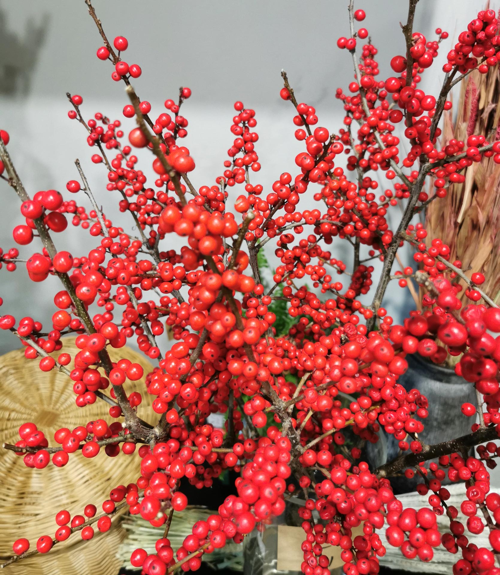 Floristė Jurgita Avižinaitė pristato šių Kalėdų dekoro tendencijas: namų puošimo idėjos nustebins net išrankiausius
